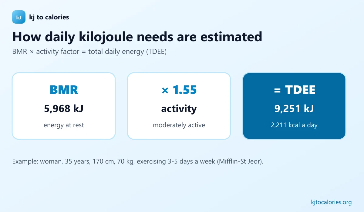 Diagram: BMR of 5,968 kJ multiplied by an activity factor of 1.55 gives a total daily energy need of 9,251 kJ