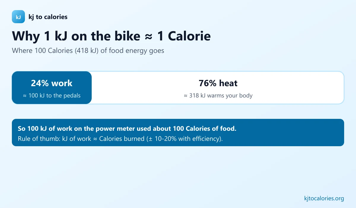 Work Cadence Examples Cycling kJ vs Calories: Does 1 kJ Equal 1 Calorie?